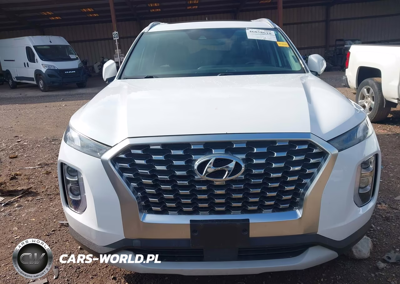 2020 Hyundai Palisade Sel VIN:KM8R24HE2LU155022 - 13