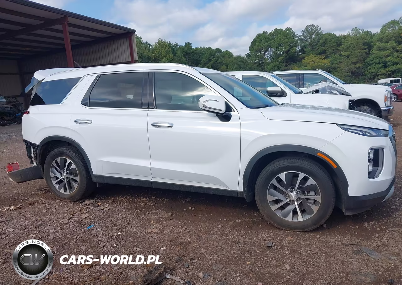 2020 Hyundai Palisade Sel VIN:KM8R24HE2LU155022 - 14