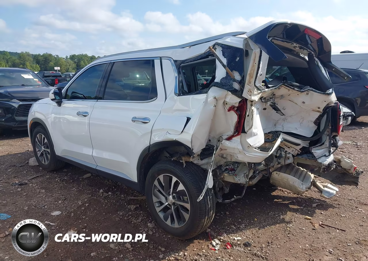 2020 Hyundai Palisade Sel VIN:KM8R24HE2LU155022 - 3