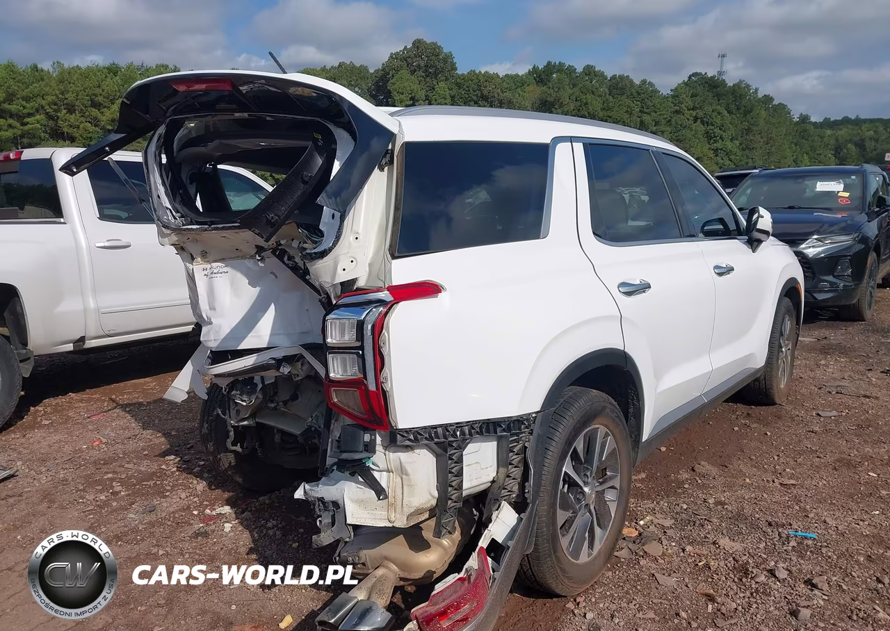 2020 Hyundai Palisade Sel VIN:KM8R24HE2LU155022 - 4