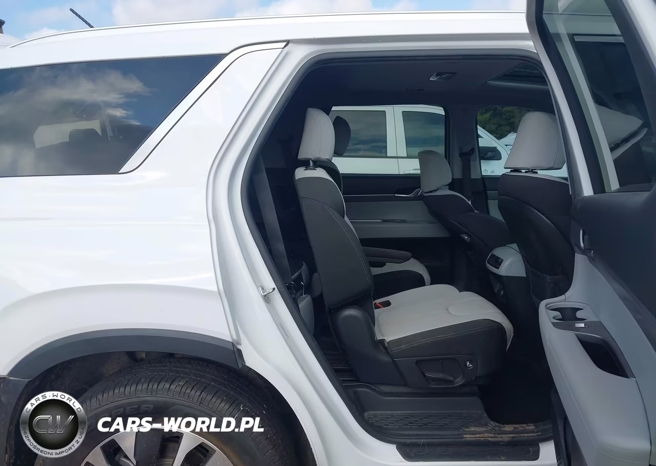 2020 Hyundai Palisade Sel VIN:KM8R24HE2LU155022 - 8