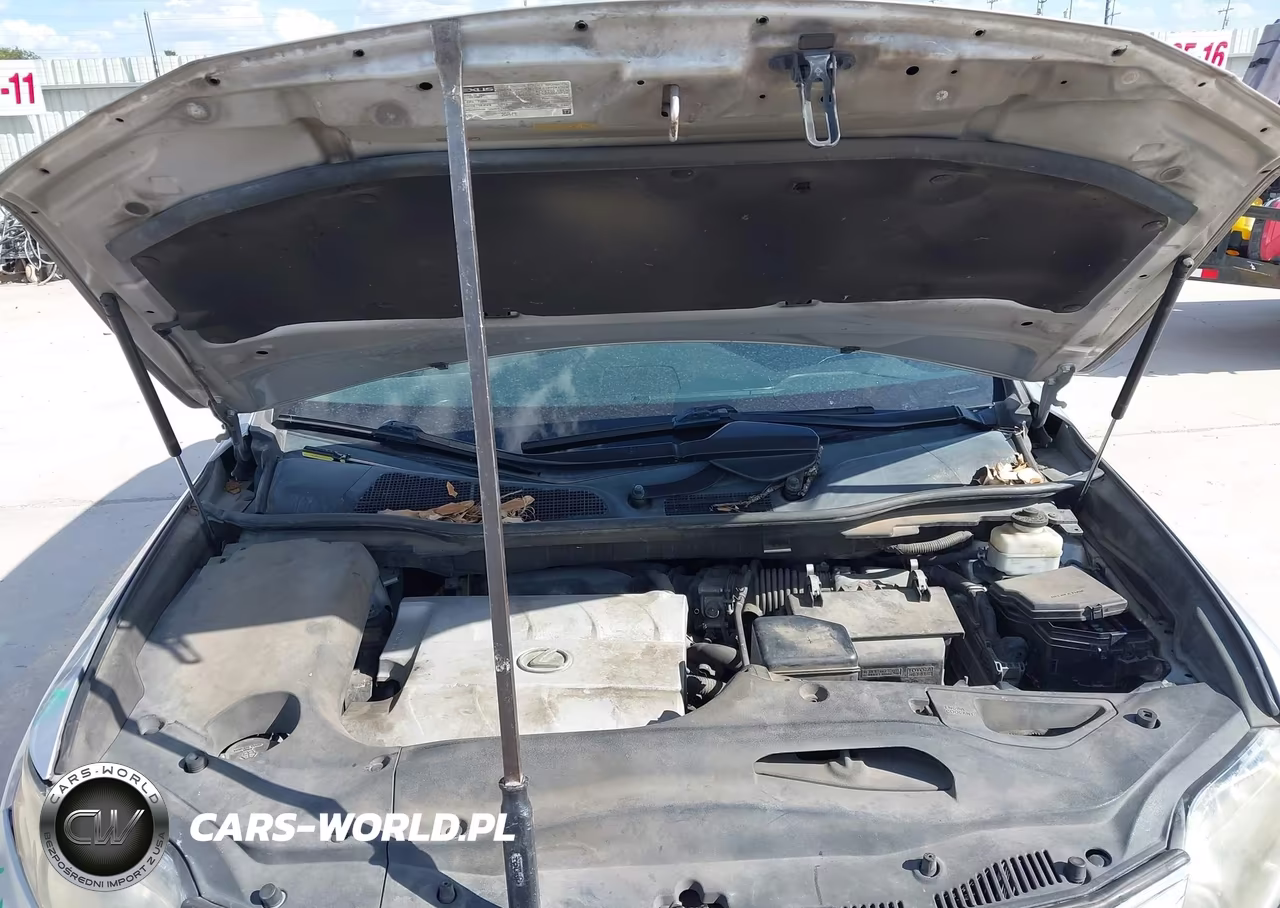 2010 Lexus Rx 350 VIN:2T2ZK1BA9AC033496 - 10
