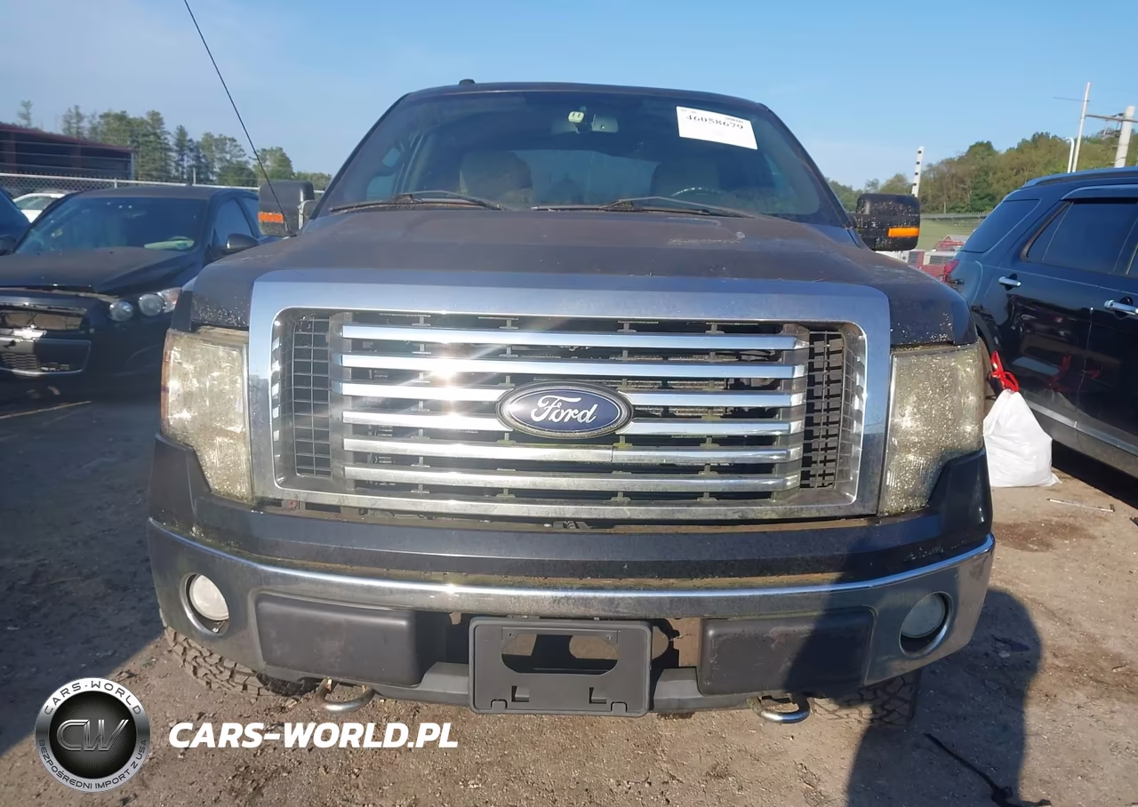 2010 Ford F-150 Fx4-Harley-Davidson-King Ranch-Lariat-Platinum-Xl-Xlt VIN:1FTFW1EV6AFC18655 - 13