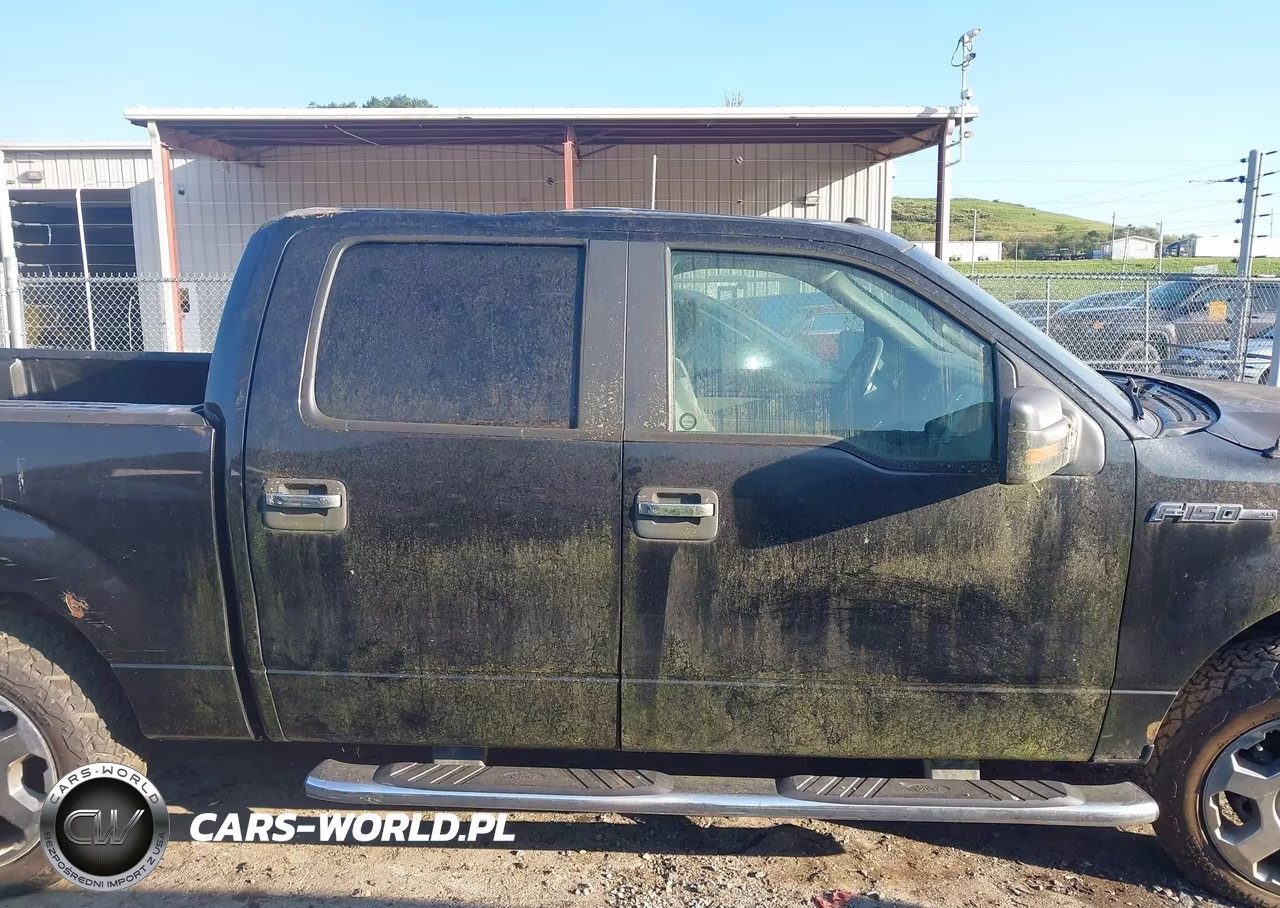 2010 Ford F-150 Fx4-Harley-Davidson-King Ranch-Lariat-Platinum-Xl-Xlt VIN:1FTFW1EV6AFC18655 - 14