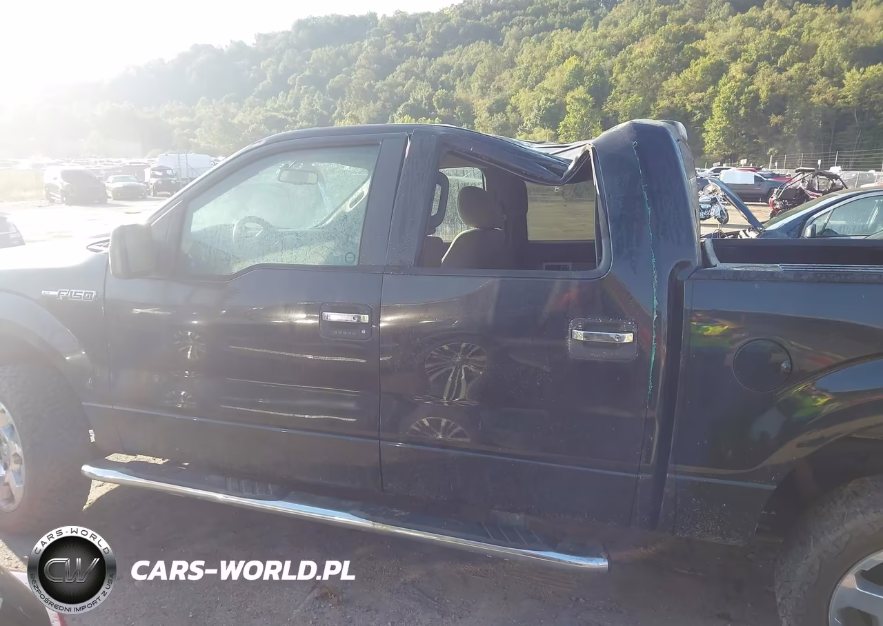 2010 Ford F-150 Fx4-Harley-Davidson-King Ranch-Lariat-Platinum-Xl-Xlt VIN:1FTFW1EV6AFC18655 - 15