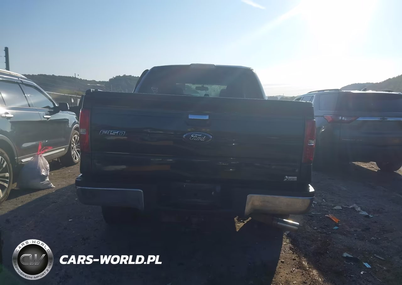 2010 Ford F-150 Fx4-Harley-Davidson-King Ranch-Lariat-Platinum-Xl-Xlt VIN:1FTFW1EV6AFC18655 - 17