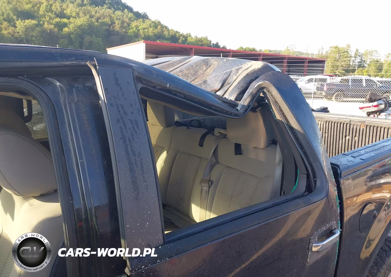2010 Ford F-150 Fx4-Harley-Davidson-King Ranch-Lariat-Platinum-Xl-Xlt VIN:1FTFW1EV6AFC18655 - 18