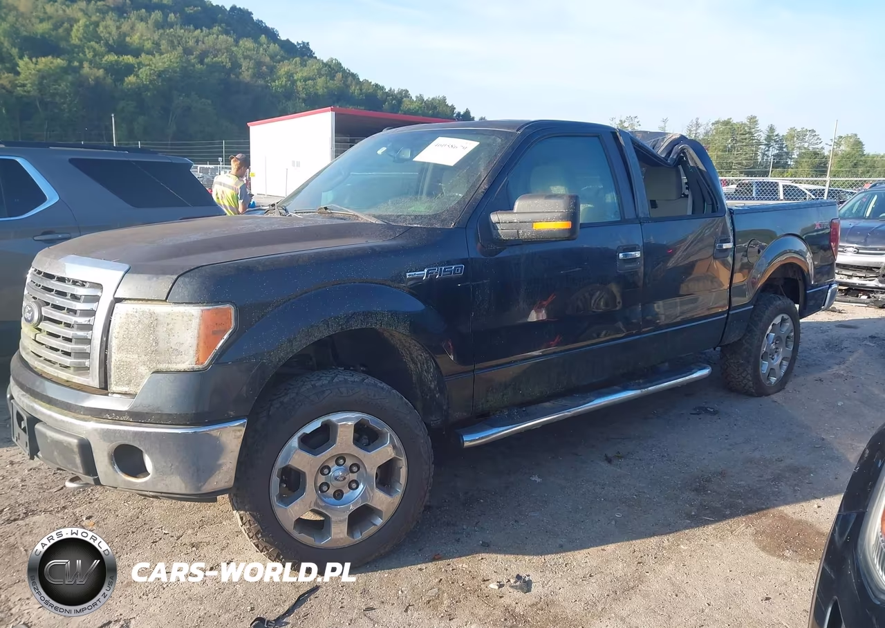2010 Ford F-150 Fx4-Harley-Davidson-King Ranch-Lariat-Platinum-Xl-Xlt VIN:1FTFW1EV6AFC18655 - 2