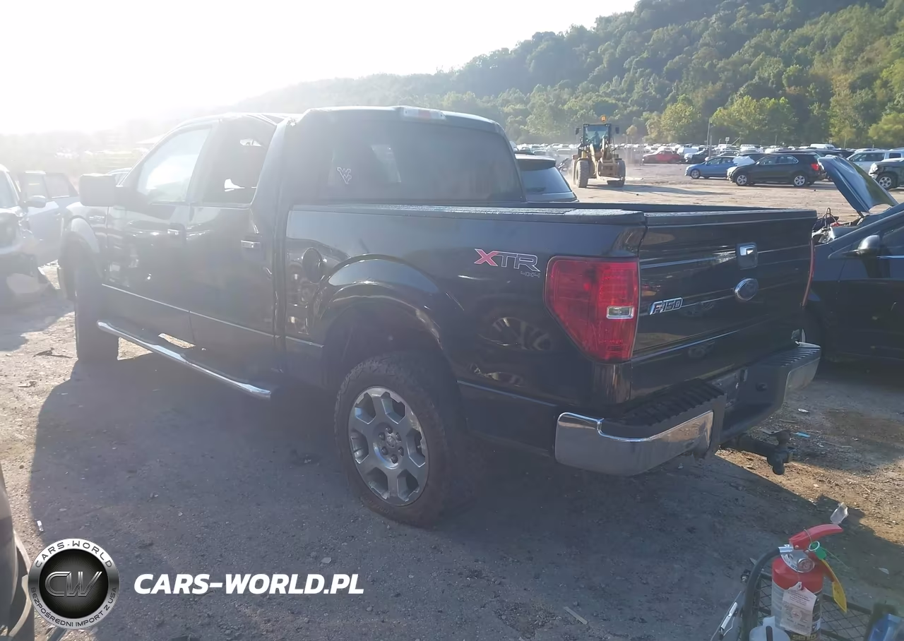 2010 Ford F-150 Fx4-Harley-Davidson-King Ranch-Lariat-Platinum-Xl-Xlt VIN:1FTFW1EV6AFC18655 - 3