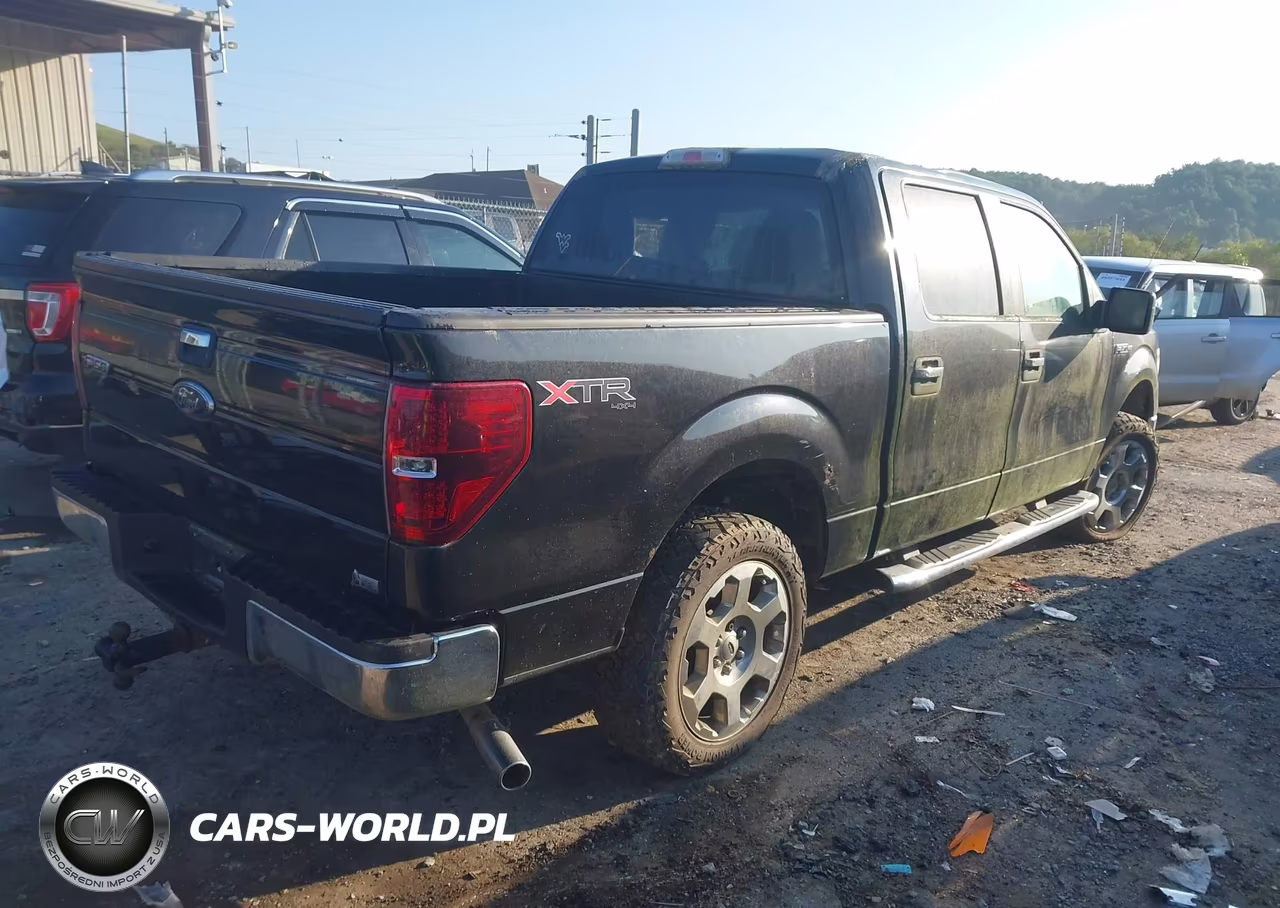 2010 Ford F-150 Fx4-Harley-Davidson-King Ranch-Lariat-Platinum-Xl-Xlt VIN:1FTFW1EV6AFC18655 - 4
