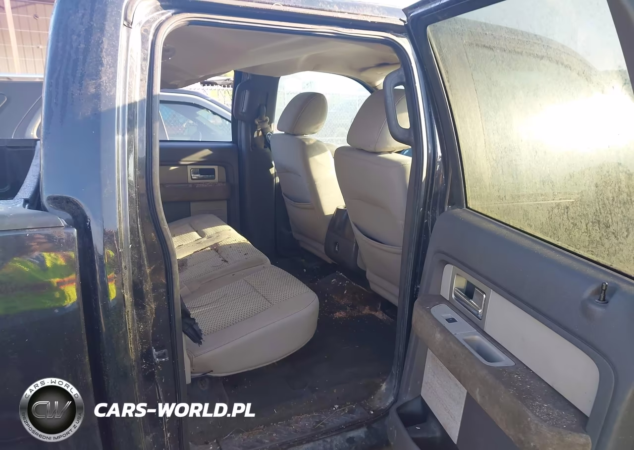 2010 Ford F-150 Fx4-Harley-Davidson-King Ranch-Lariat-Platinum-Xl-Xlt VIN:1FTFW1EV6AFC18655 - 8