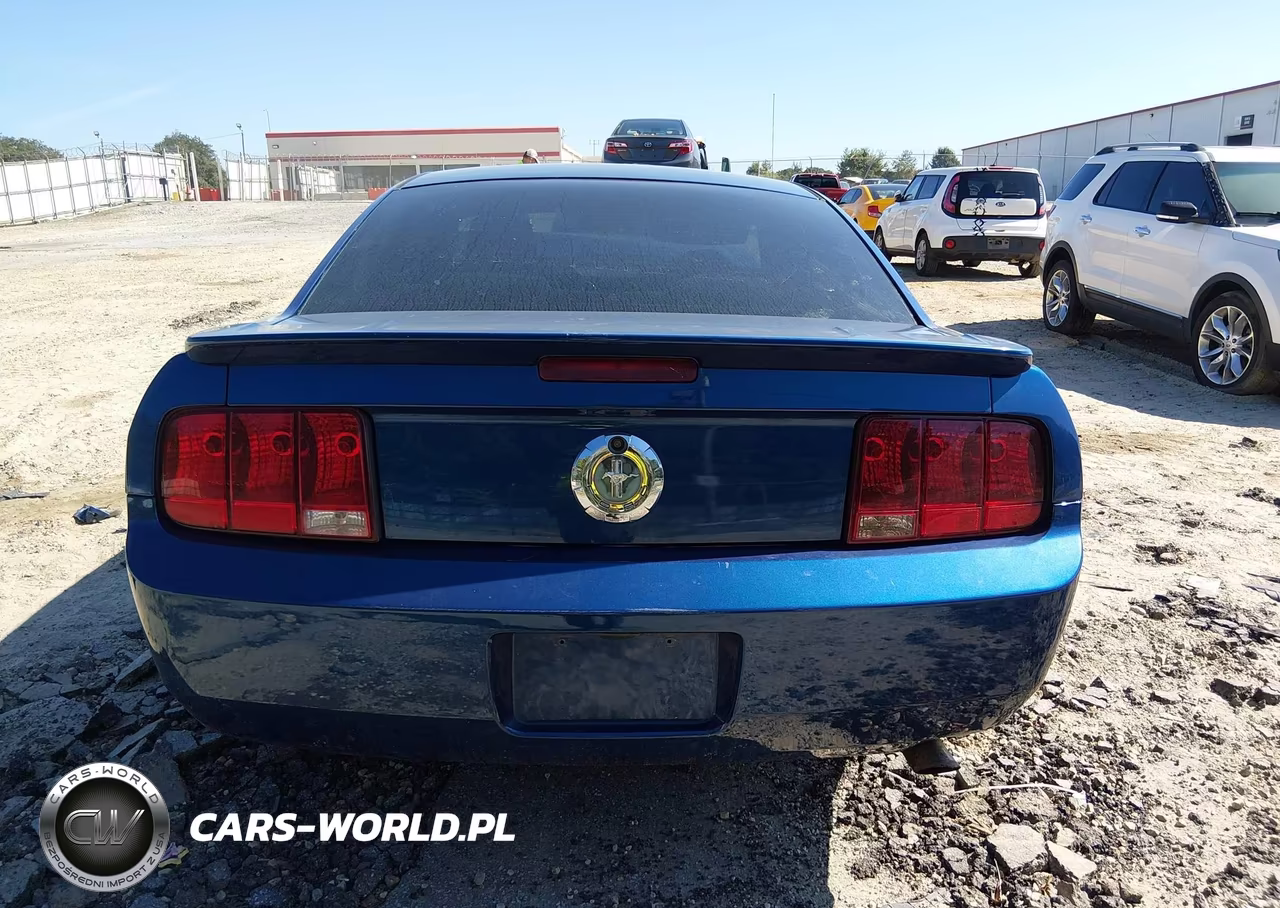 2008 Ford Mustang V6 Deluxe-V6 Premium VIN:1ZVHT80N685134348 - 17