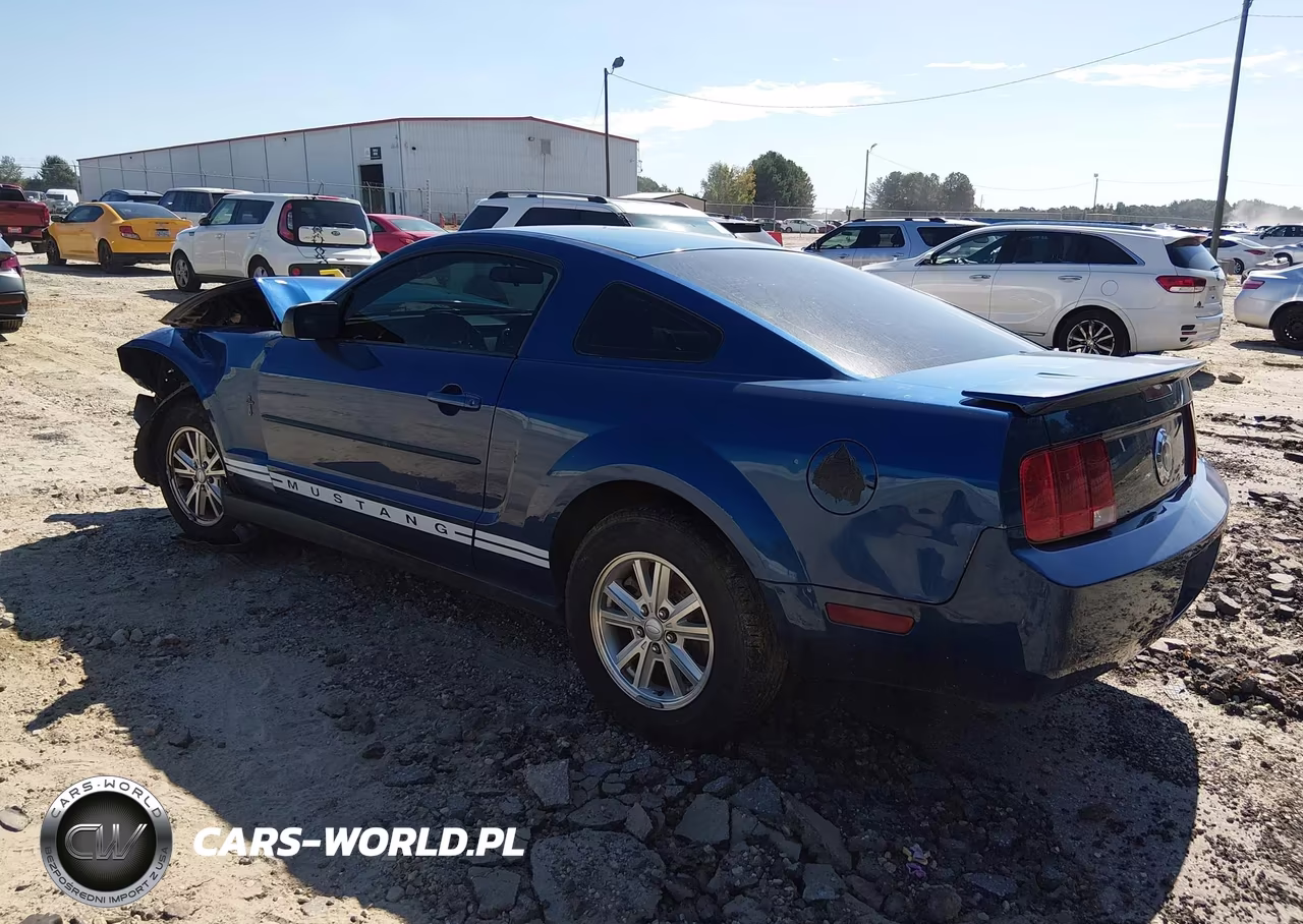 2008 Ford Mustang V6 Deluxe-V6 Premium VIN:1ZVHT80N685134348 - 3
