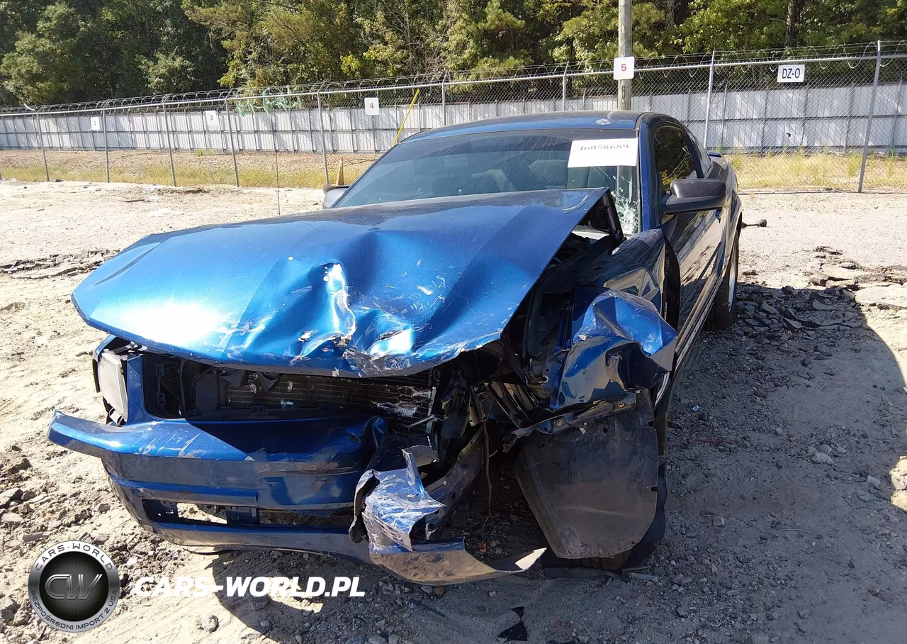 2008 Ford Mustang V6 Deluxe-V6 Premium VIN:1ZVHT80N685134348 - 6