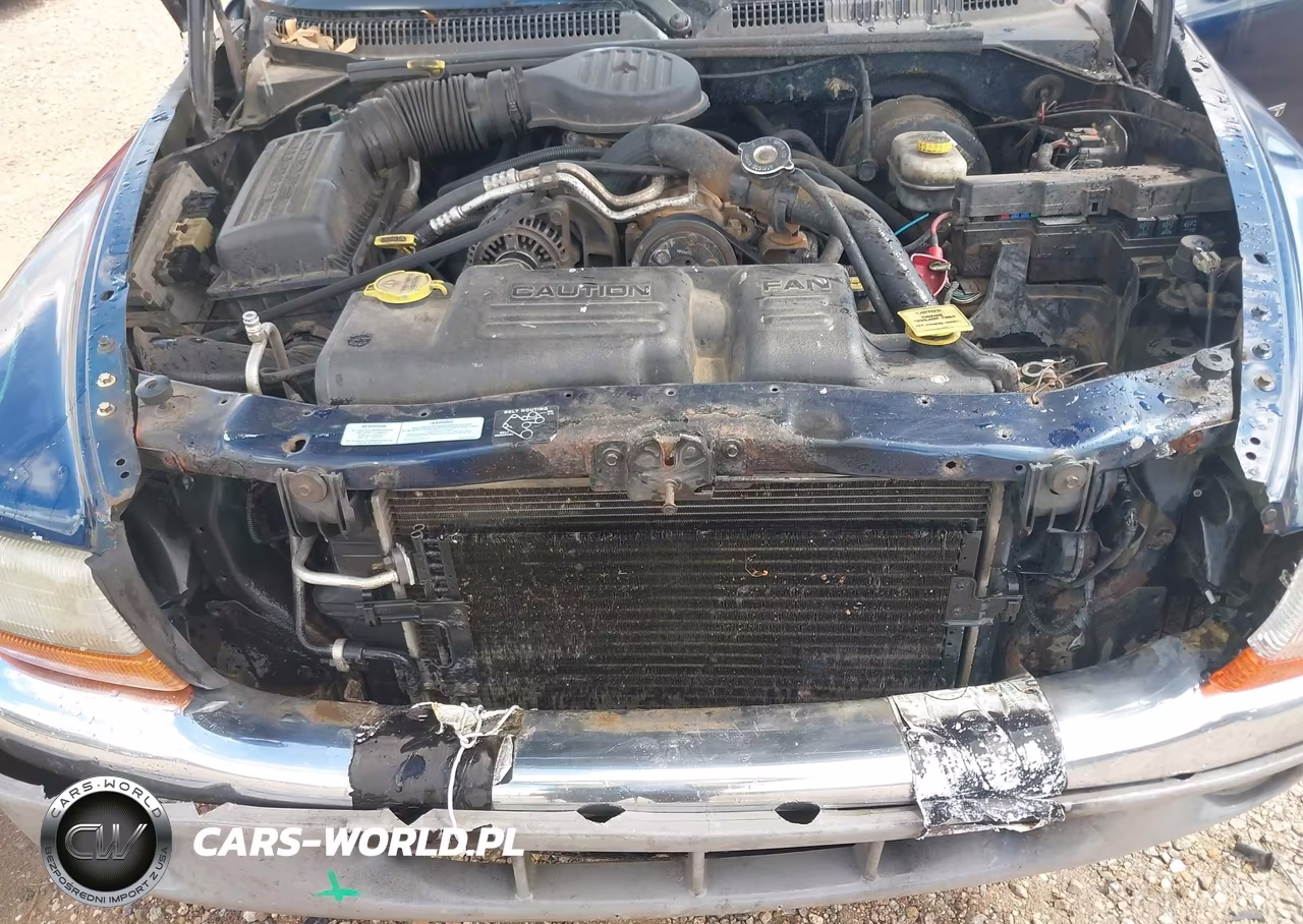 2001 Dodge Dakota Slt-Sport VIN:1B7HG2AX21S329178 - 10