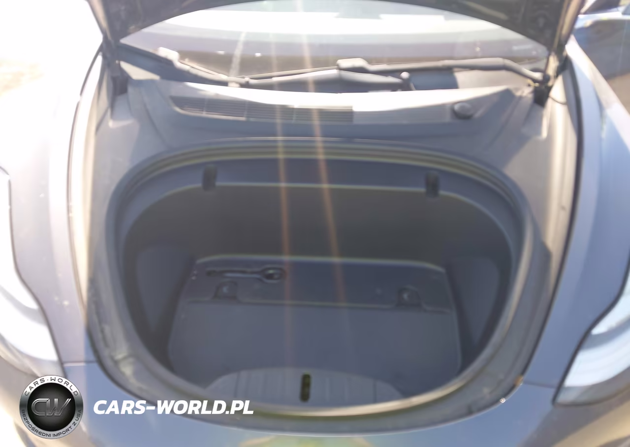 2020 Tesla Model 3 Long Range Dual Motor All-Wheel Drive VIN:5YJ3E1EB2LF649609 - 10