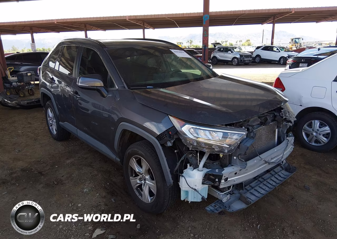 2019 Toyota Rav4 Xle VIN:2T3W1RFV7KW007329 - 1