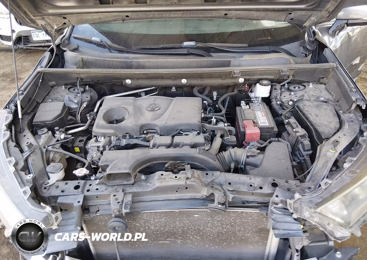 2019 Toyota Rav4 Xle VIN:2T3W1RFV7KW007329 - 10
