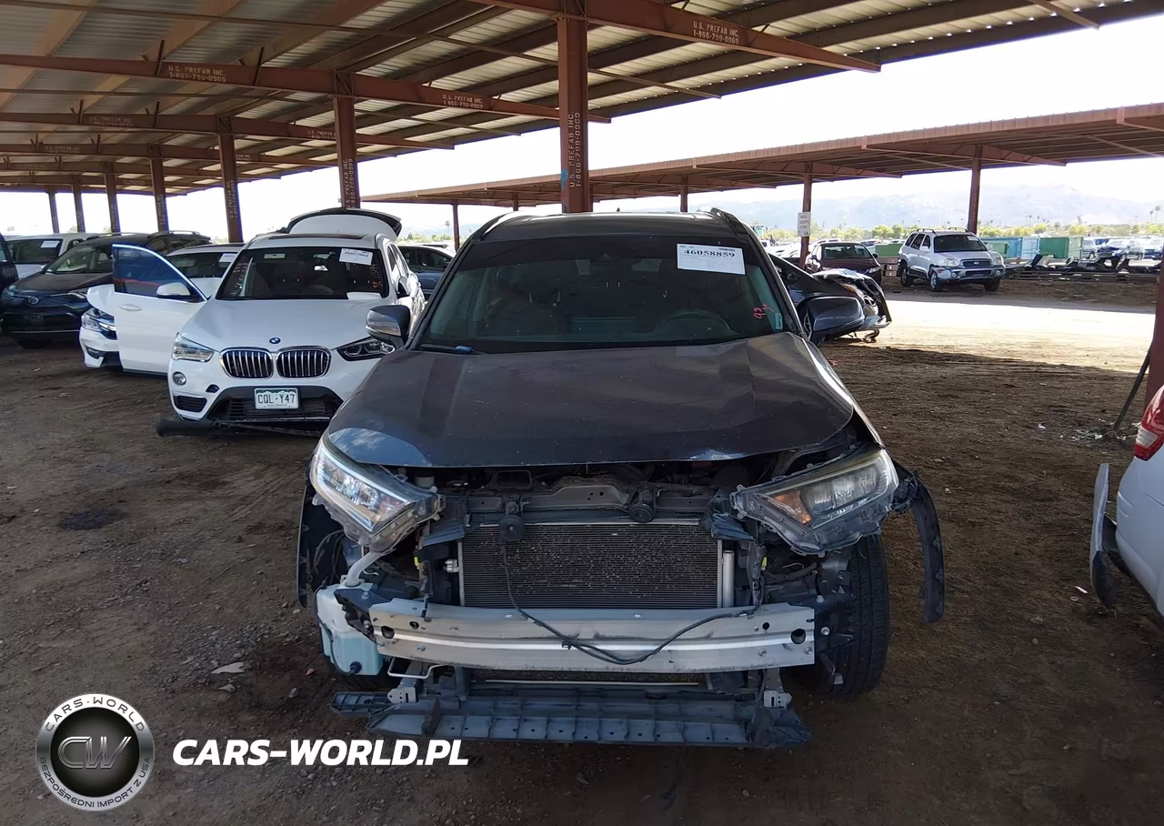 2019 Toyota Rav4 Xle VIN:2T3W1RFV7KW007329 - 13