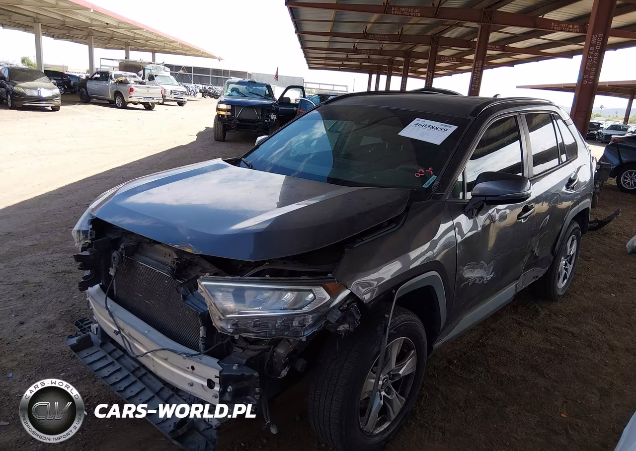 2019 Toyota Rav4 Xle VIN:2T3W1RFV7KW007329 - 2