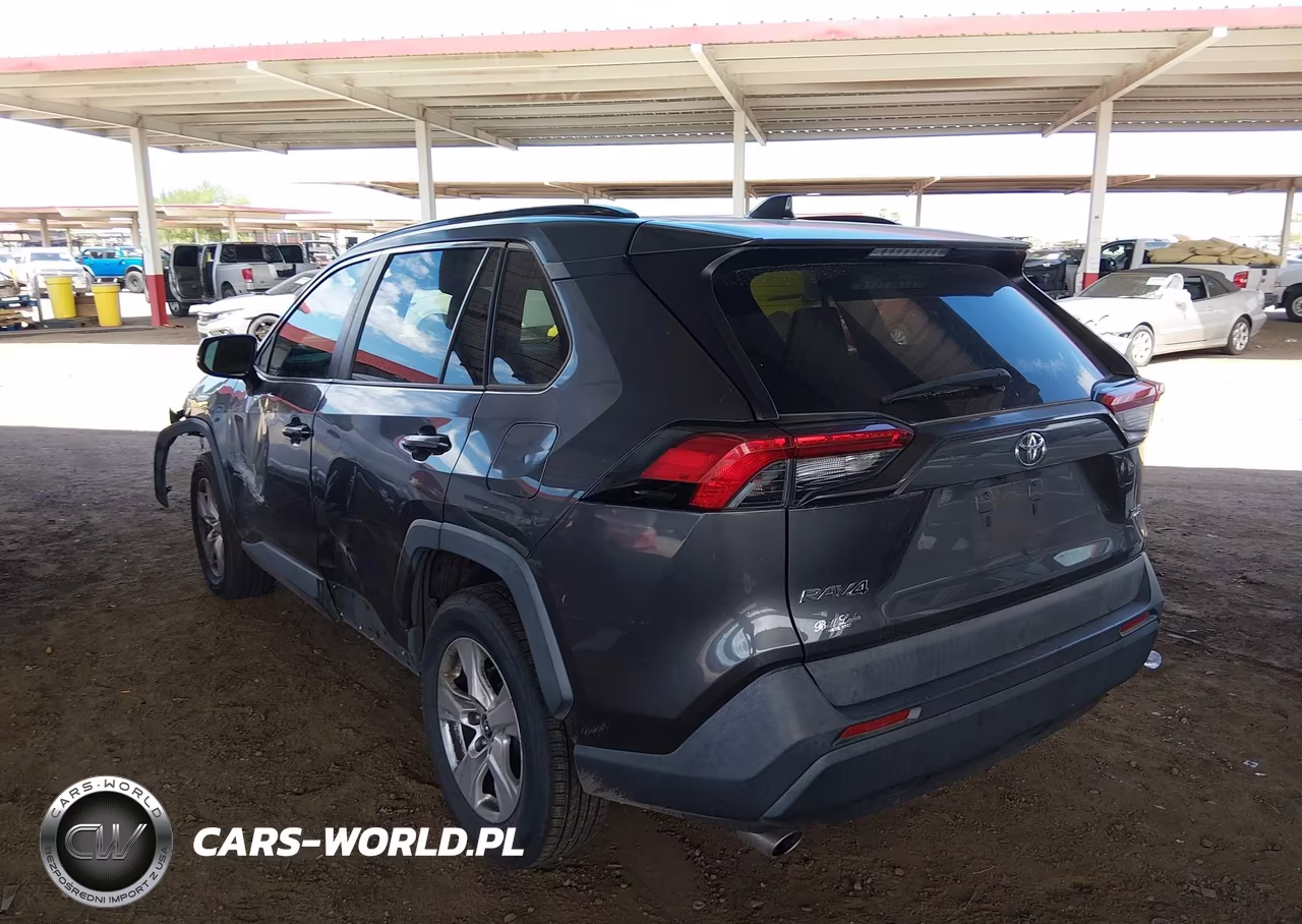 2019 Toyota Rav4 Xle VIN:2T3W1RFV7KW007329 - 3