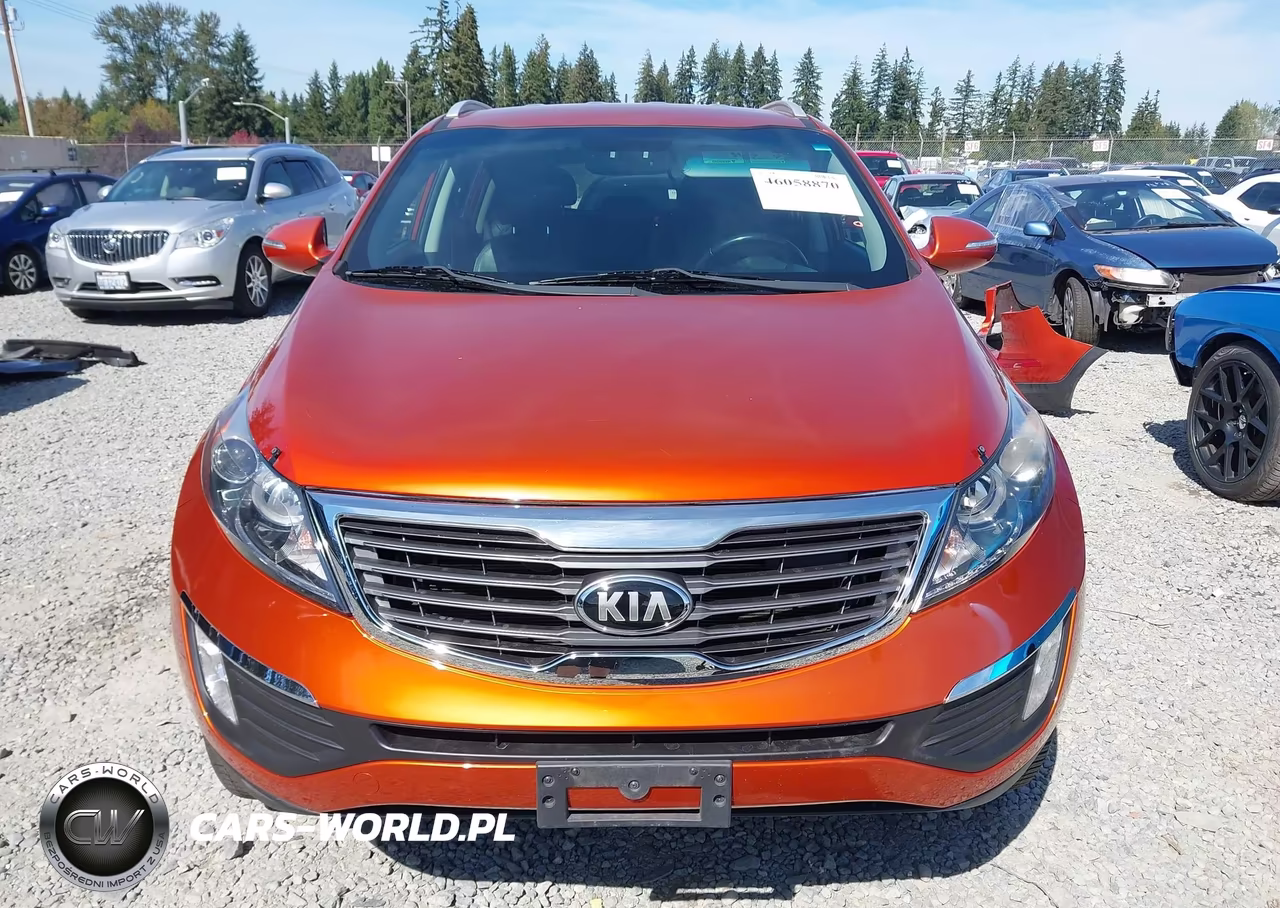 2013 Kia Sportage Ex VIN:KNDPC3A25D7372826 - 13
