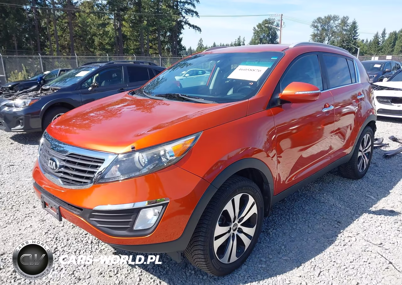 2013 Kia Sportage Ex VIN:KNDPC3A25D7372826 - 2