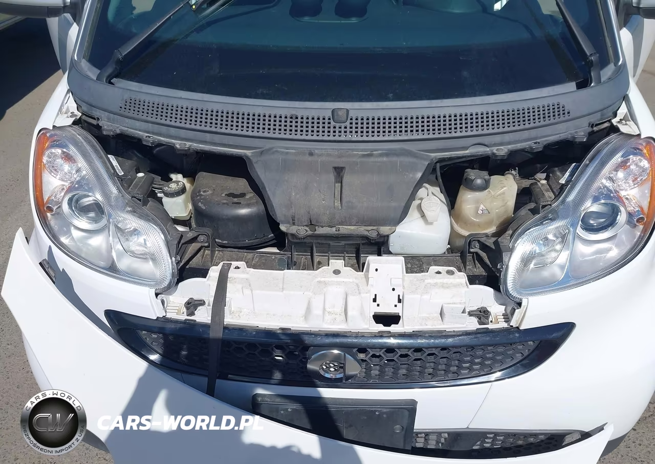 2014 Smart Fortwo Passion-Pure VIN:WMEEJ3BA7EK730267 - 10