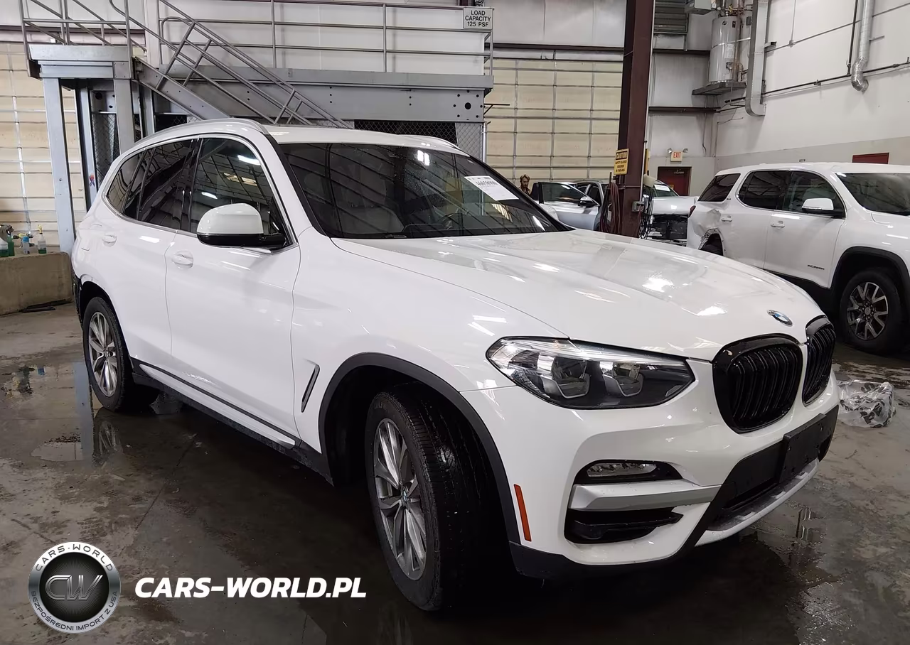 2019 BMW X3 Sdrive30I VIN:5UXTR7C54KLF30185 - 1
