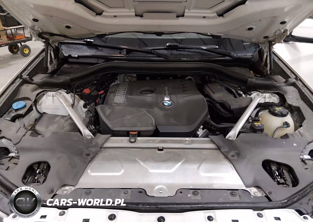 2019 BMW X3 Sdrive30I VIN:5UXTR7C54KLF30185 - 10
