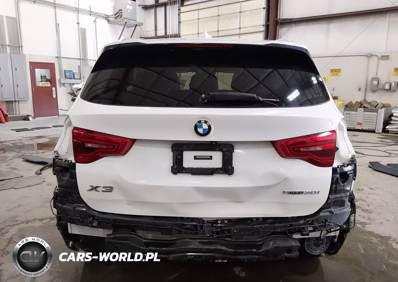 2019 BMW X3 Sdrive30I VIN:5UXTR7C54KLF30185 - 17