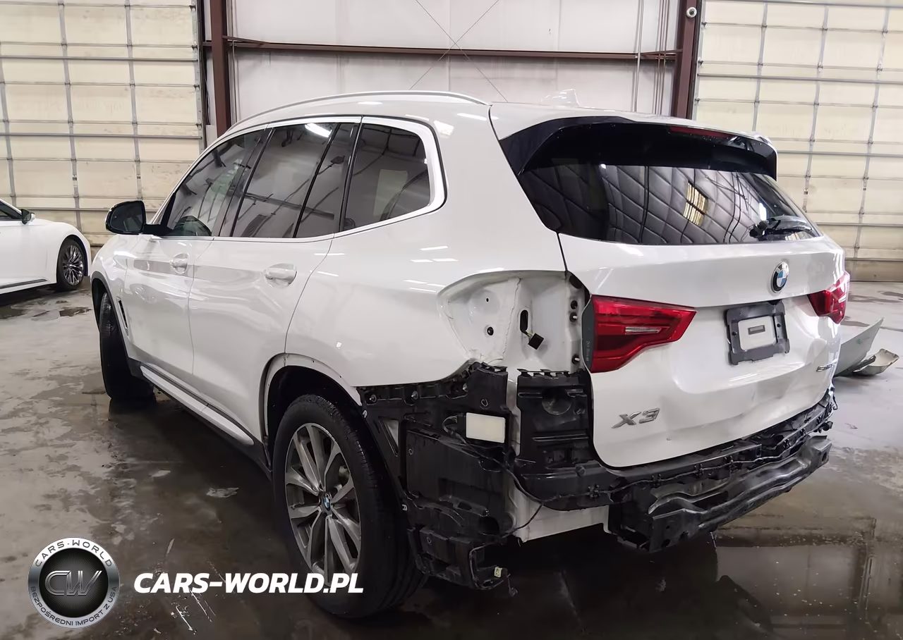 2019 BMW X3 Sdrive30I VIN:5UXTR7C54KLF30185 - 3