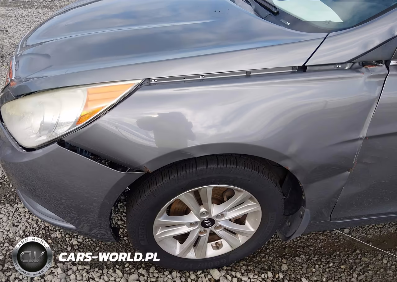 2013 Hyundai Sonata Gls VIN:5NPEB4AC7DH807267 - 13