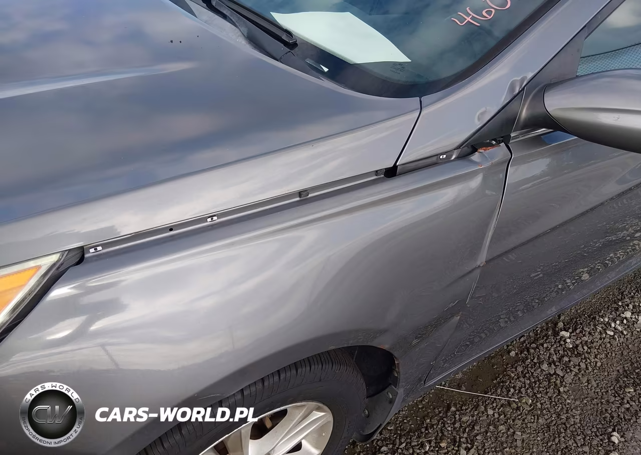 2013 Hyundai Sonata Gls VIN:5NPEB4AC7DH807267 - 15