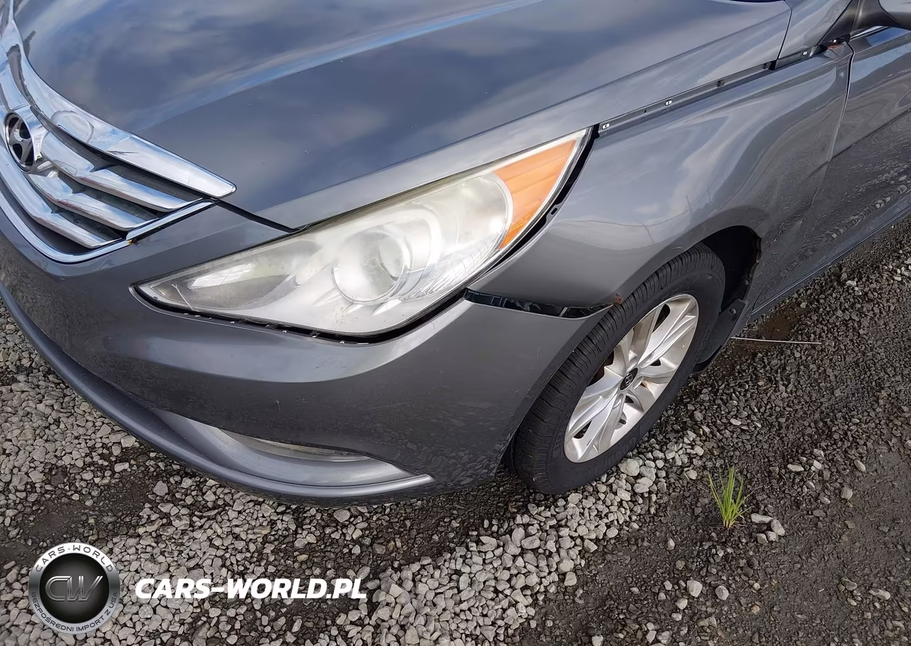 2013 Hyundai Sonata Gls VIN:5NPEB4AC7DH807267 - 6