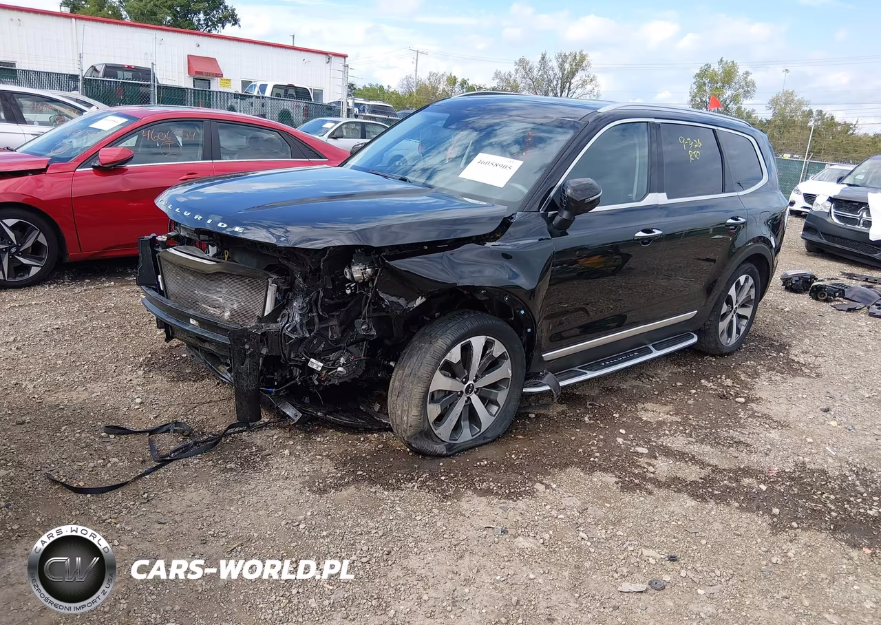 2022 Kia Telluride S VIN:5XYP6DHC7NG206646 - 2