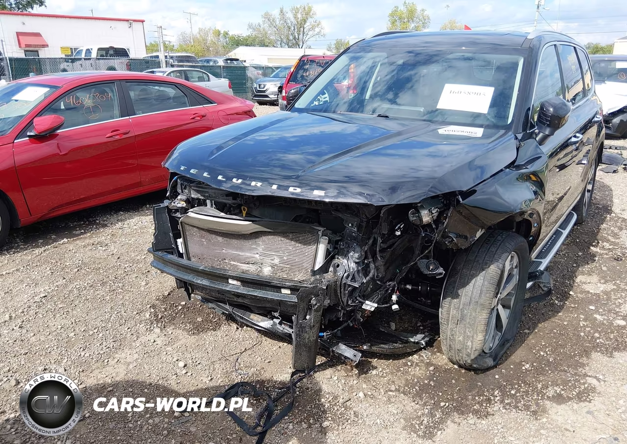 2022 Kia Telluride S VIN:5XYP6DHC7NG206646 - 6