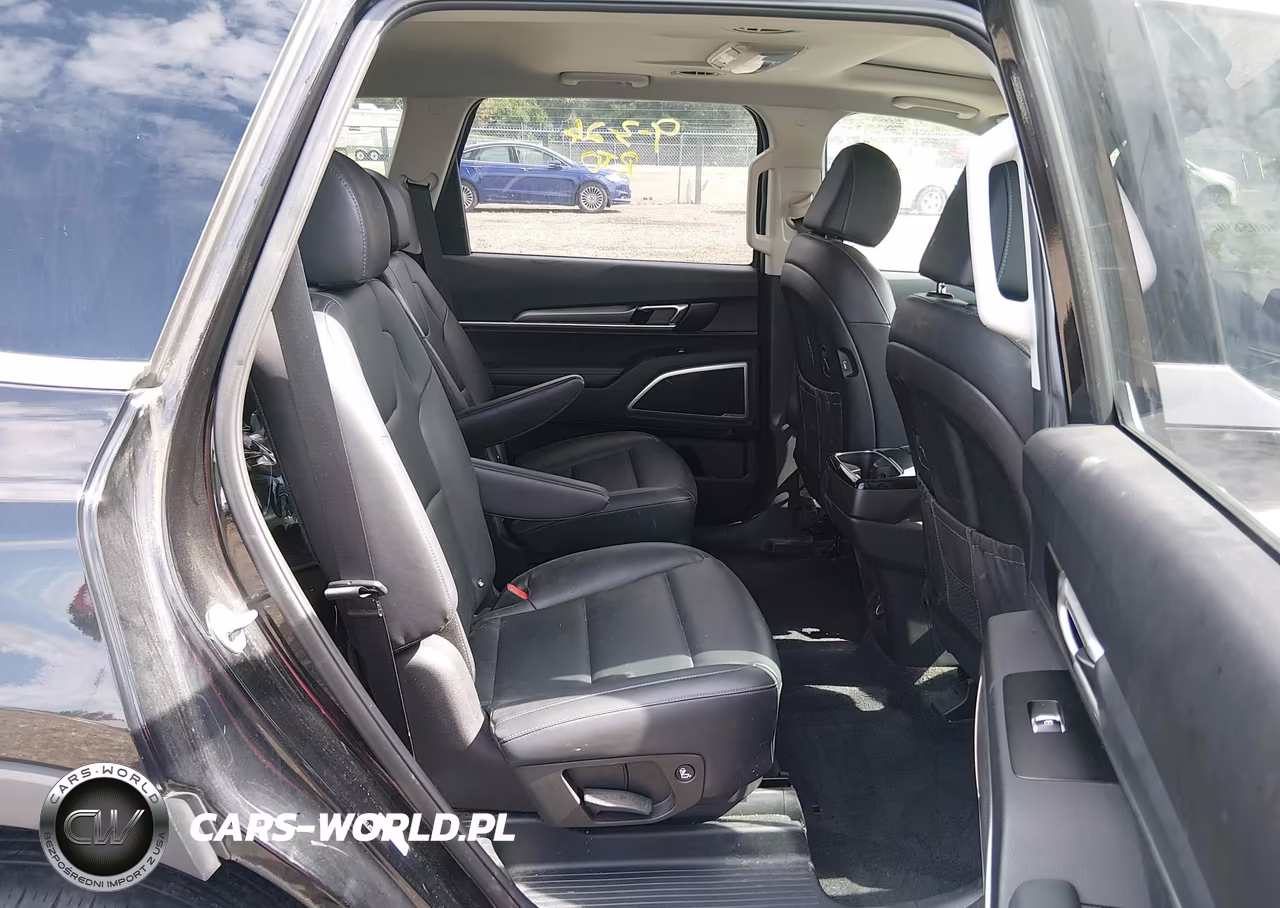 2022 Kia Telluride S VIN:5XYP6DHC7NG206646 - 8