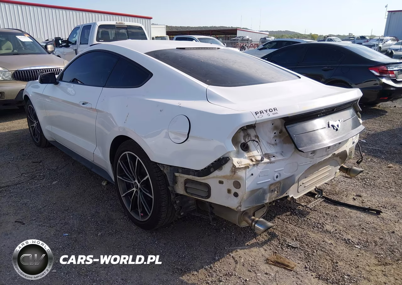2018 Ford Mustang Ecoboost VIN:1FA6P8TH4J5163167 - 3