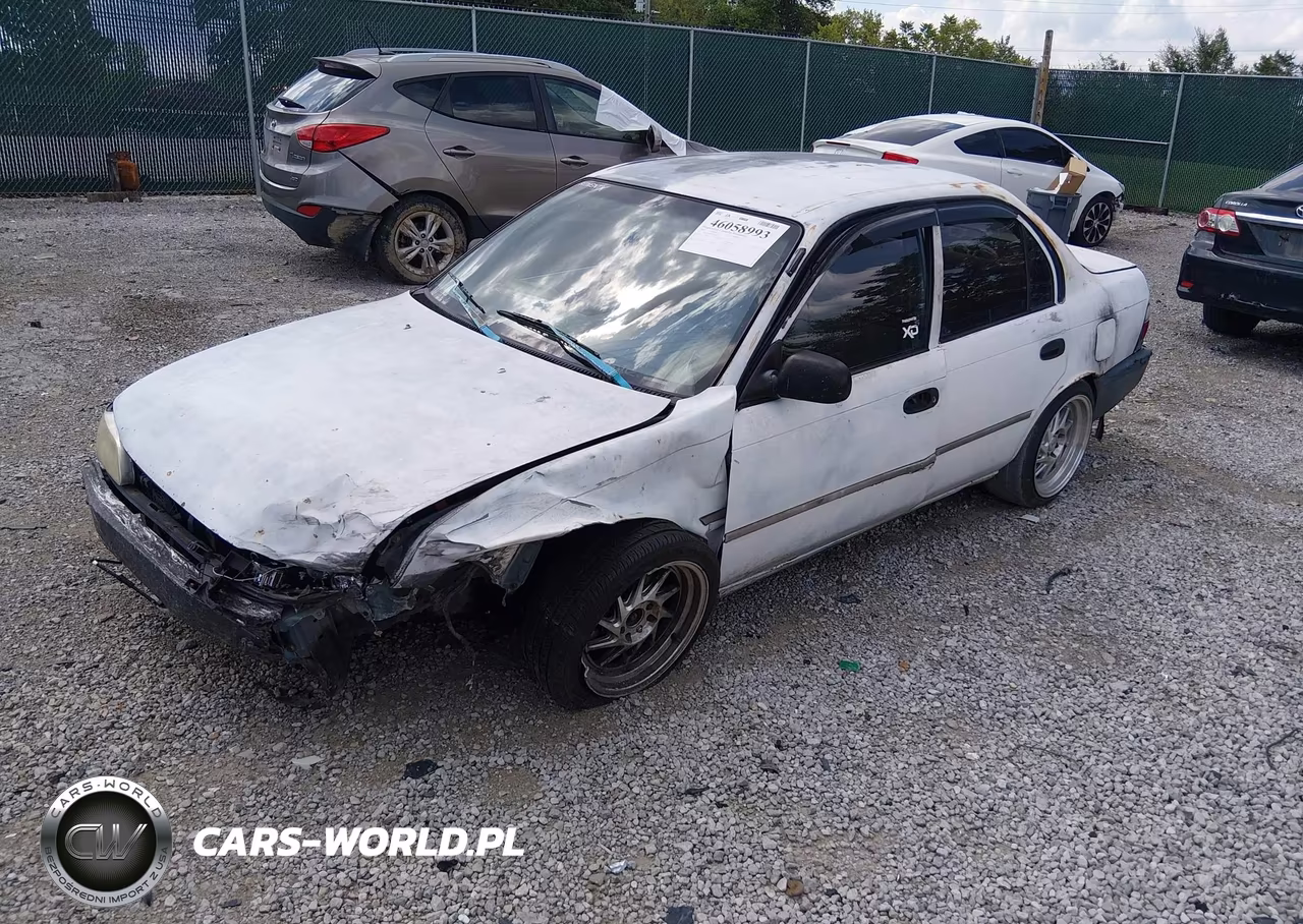 1995 Toyota Corolla VIN:1NXAE04B7SZ350864 - 2
