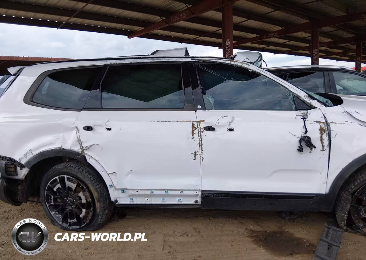 2022 Kia Telluride Sx VIN:5XYP5DHC0NG234307 - 12