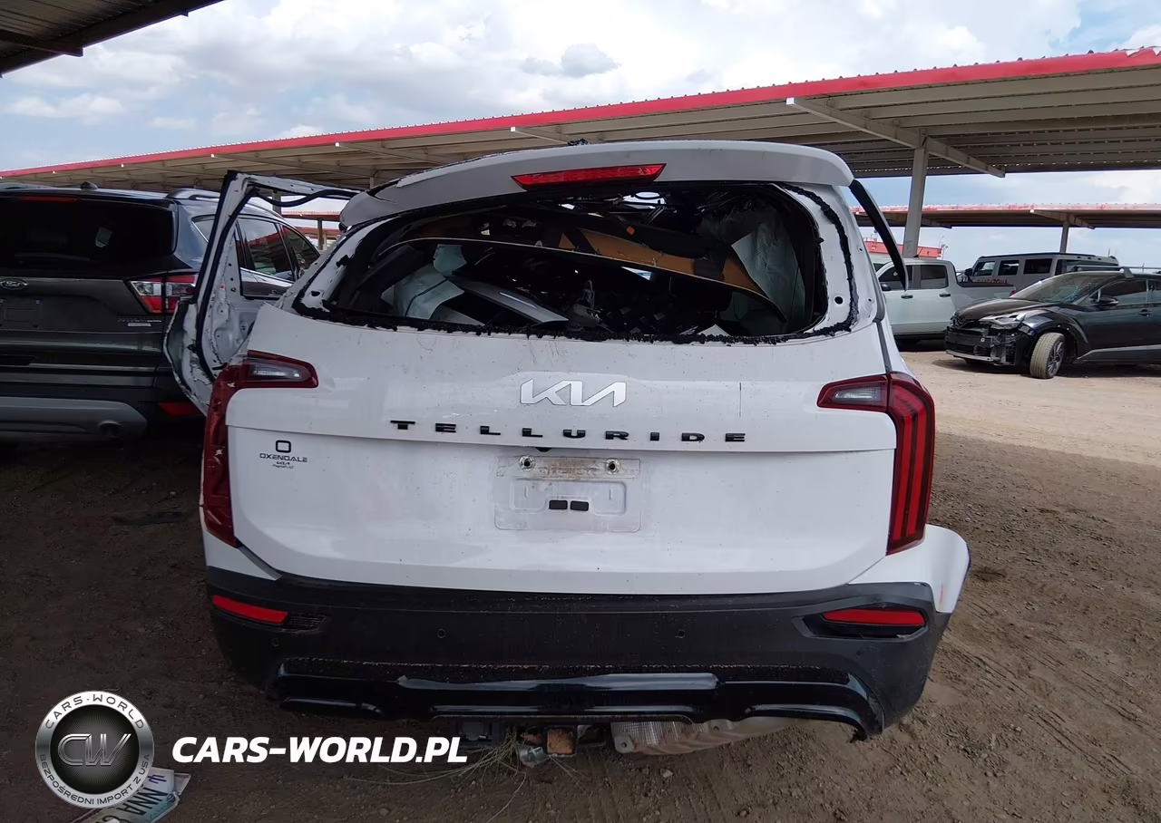 2022 Kia Telluride Sx VIN:5XYP5DHC0NG234307 - 15