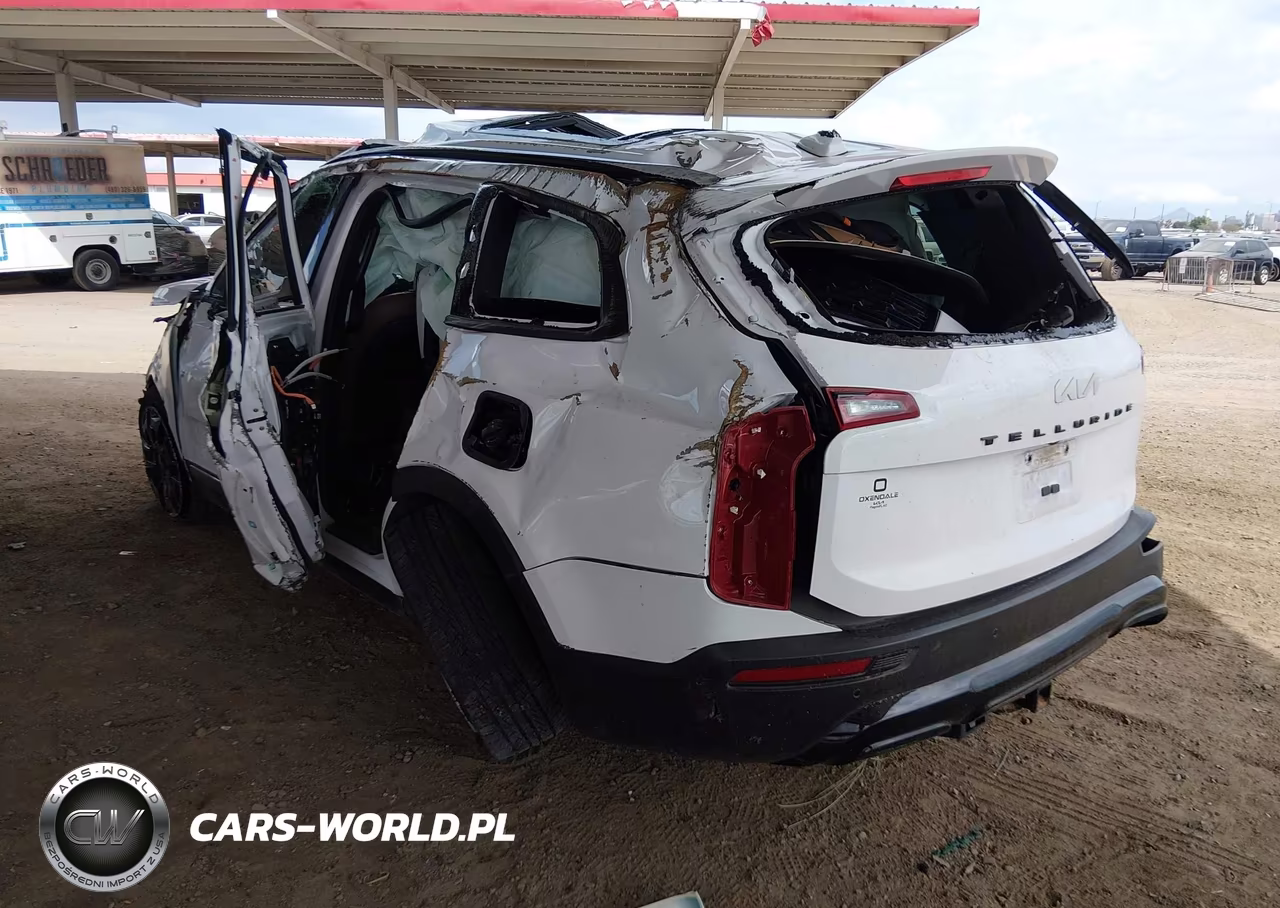 2022 Kia Telluride Sx VIN:5XYP5DHC0NG234307 - 3