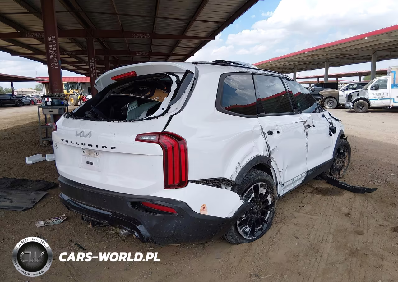 2022 Kia Telluride Sx VIN:5XYP5DHC0NG234307 - 4