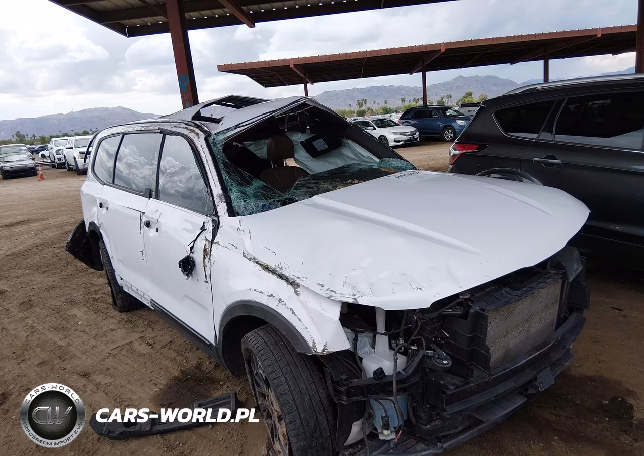 2022 Kia Telluride Sx VIN:5XYP5DHC0NG234307 - 6