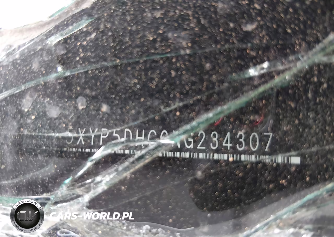 2022 Kia Telluride Sx VIN:5XYP5DHC0NG234307 - 9