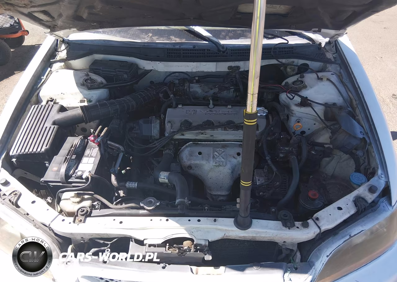 1998 Honda Accord Lx VIN:1HGCG3142WA012781 - 10