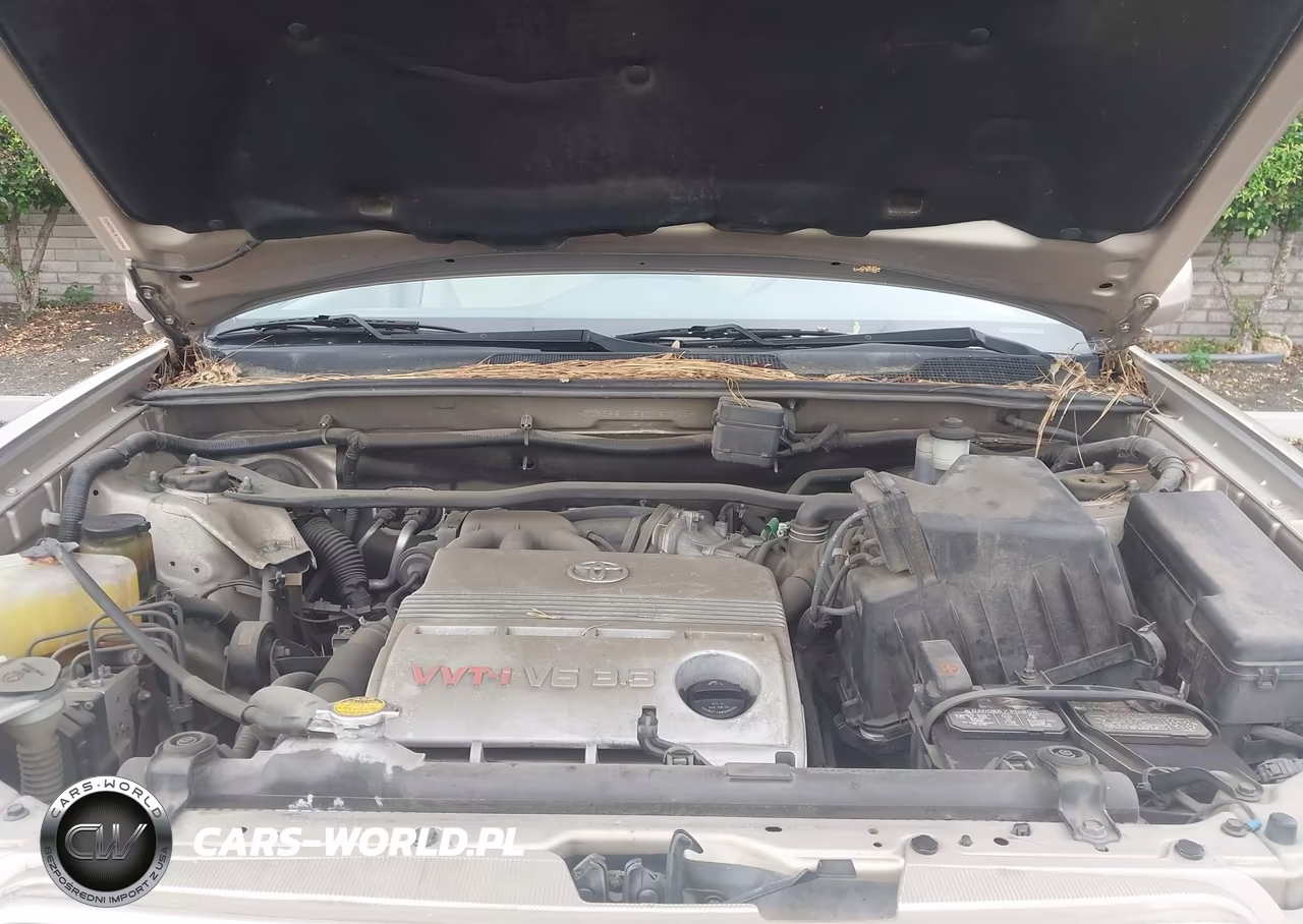 2006 Toyota Highlander V6 VIN:JTEEP21A260161748 - 10