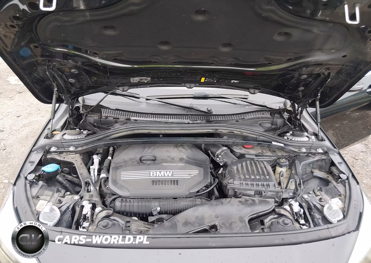 2023 BMW 228Xi VIN:WBA73AK00P7M66941 - 10