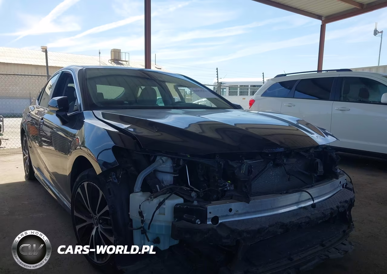 2019 Toyota Camry L-Le-Se-Xle VIN:4T1B11HK5KU822401 - 1